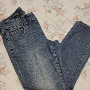 The Limited Classic Blue Denim Jeans